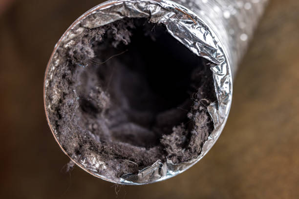 Best HVAC Air Duct Cleaning  in Signal Mountain, TN